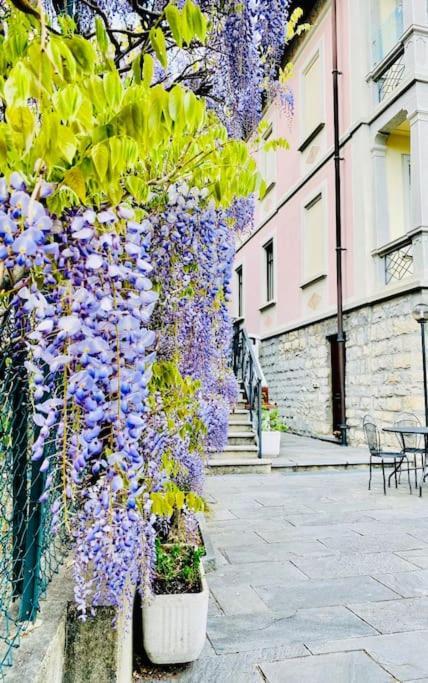 Charming & Luxury Villa Como Lake Екстер'єр фото